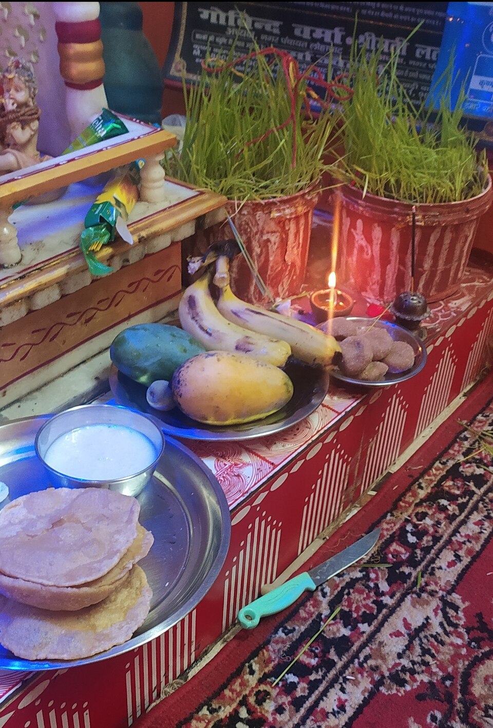 Harela shoots grown in pots at a home shrine, with offerings and a lit diya
